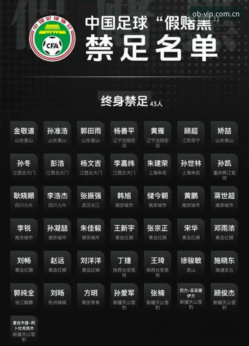 深度体验分享：在欧博平台网址上追踪足协禁足名单，解读足球反腐背后的深层逻辑
