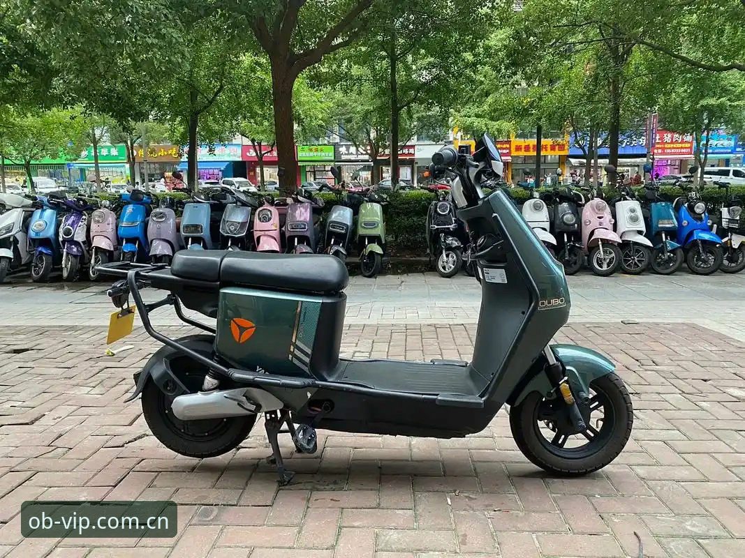 揭秘欧博官网怎么找：欧博体育平台安全入口与2024最新网址的版本逻辑